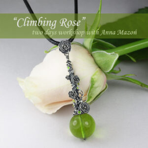 "Climbing things" class