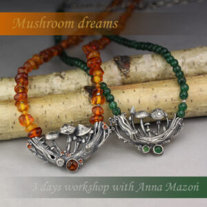 "Mushroom dreams" class